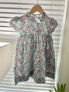 Little English Girls Floral Cap-Sleeve Dress in Green and Pink